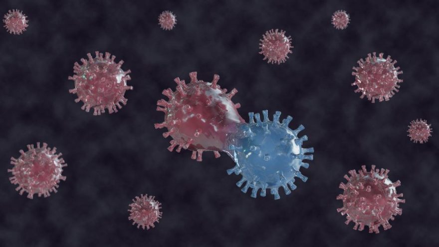 Mutasyonlu Virüs Bilecik'e Sıçradı! Sağlıkçılar Alarma Geçti