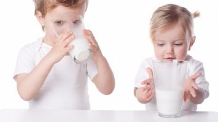 laktozsuz süt nedir? laktozsuz süt faydaları nelerdir? besin değeri