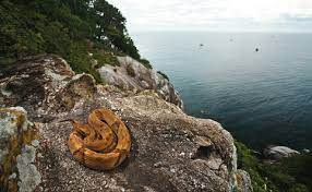 yılan adası nerede? yılan adasına nasıl gidilir? adaya giden ölür mü?