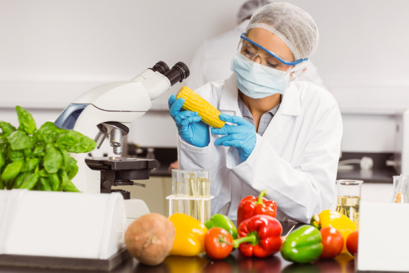 Gıda Teknolojisi DGS Geçiş Bölümleri Nelerdir | Gıda Teknolojisi bölümü