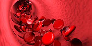 Kan Nasıl Oluştu Kan İle İlgili Bilmediğimiz Gerçekler Nelerdir