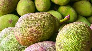Jackfruit meyvesi nedir Jackfruit meyvesi faydaları neler Nasıl yenir