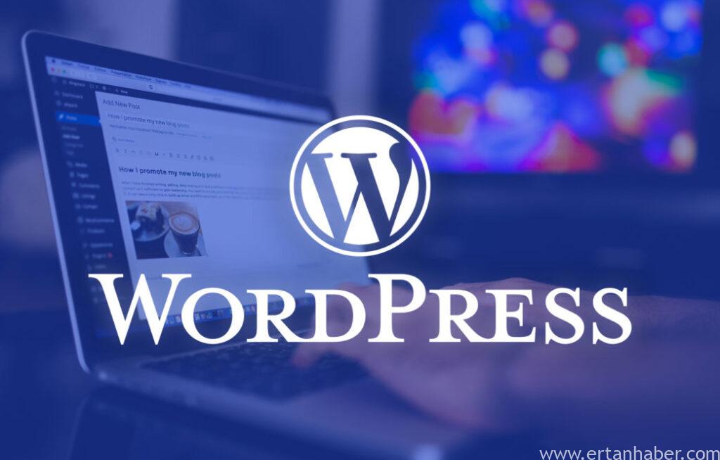 Ücretli WordPress Site Kurulumu Yapılır