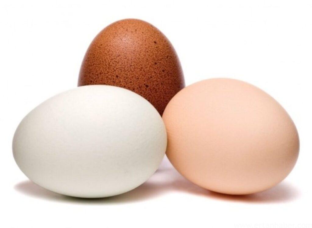 Beyaz ve kahverengi yumurta arasında ne fark var