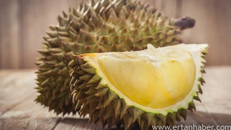 Durian meyvesi nedir? Durian meyvesi yenir mi? Neden kötü kokar?