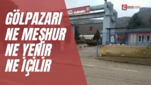 Gölpazarı, zengin mutfağı, misafirperver insanları ve keşfedilecek turistik noktalarıyla görülmeye
