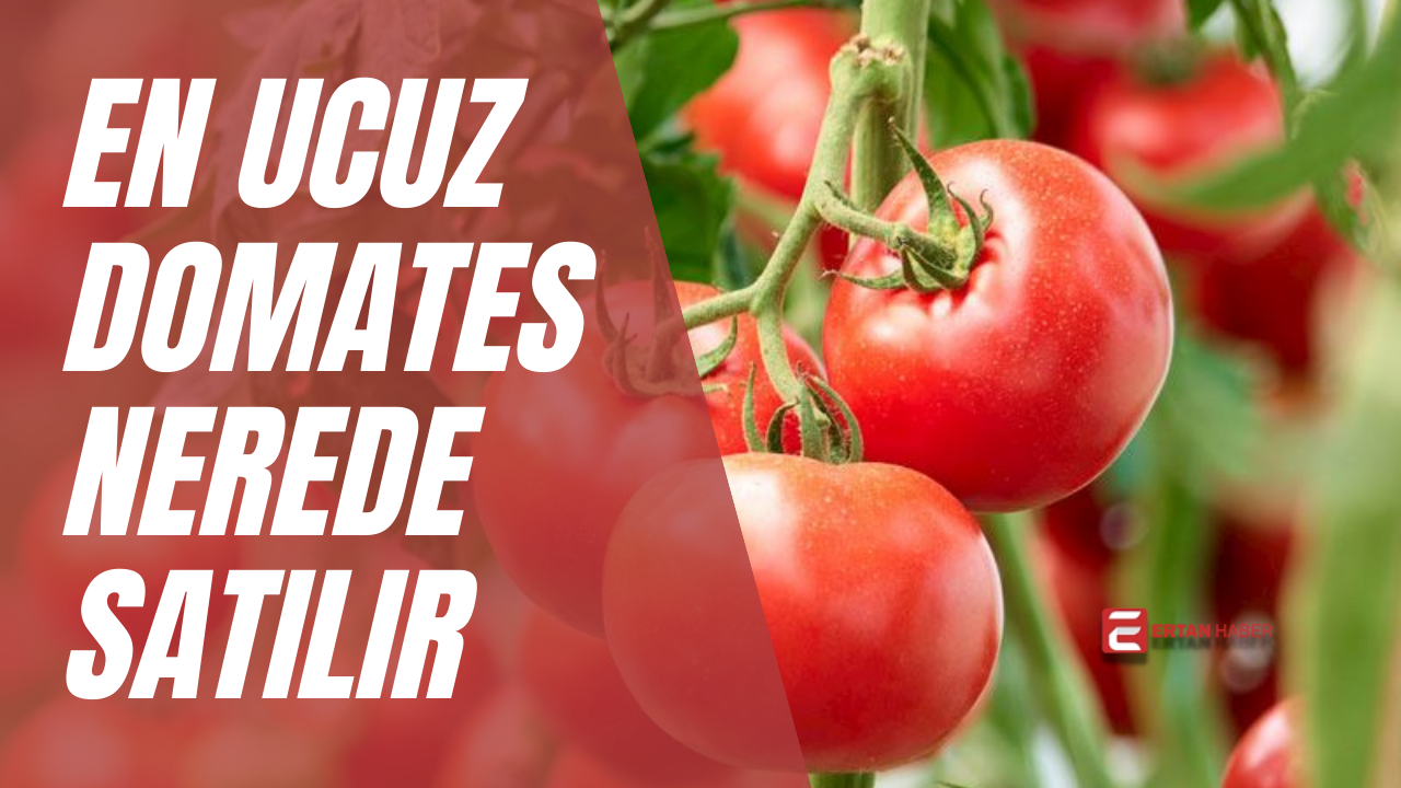 Uygun fiyatlı ucuz domates bulmak mümkün. Hal pazarları, üretici satış