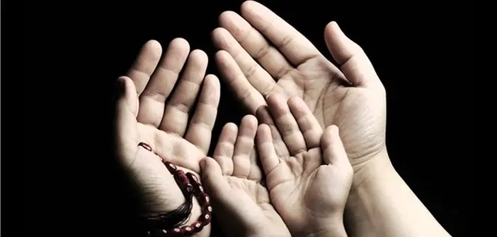 Bugünün Haberi, güncel haberlerden dini bilgilere kadar geniş bir yelpazede