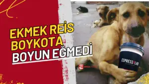 Son günlerde sosyal medyada boykot çağrılarıyla gündeme gelen Espressolab’a beklenmedik