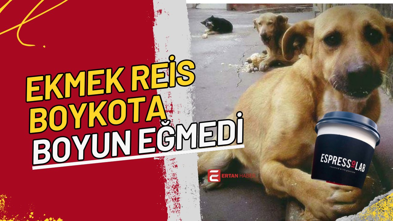 Son günlerde sosyal medyada boykot çağrılarıyla gündeme gelen Espressolab’a beklenmedik