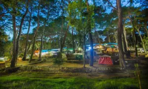 Doğayla iç içe unutulmaz anılar biriktirmek isteyenler için Kampalani.Org, kapsamlı