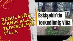 Eskişehir’de yer alan Regülatör bölgesinde, gazeteci Tunahan Ertan tarafından kaydedilen