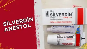 Normalde Silverdin (yanık ve yara için antibakteriyel krem) ve Anestol