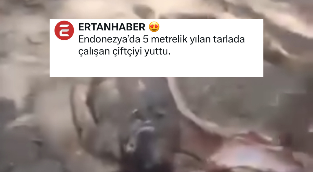 Endonezya’nın Güney Sulawesi bölgesinde akıllara durgunluk veren bir olay yaşandı.