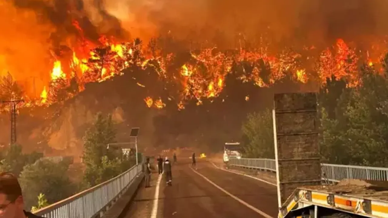 Eskişehir’in Seyitgazi ilçesinde 22 Temmuz’da başlayarak Afyonkarahisar sınırlarına kadar uzanan