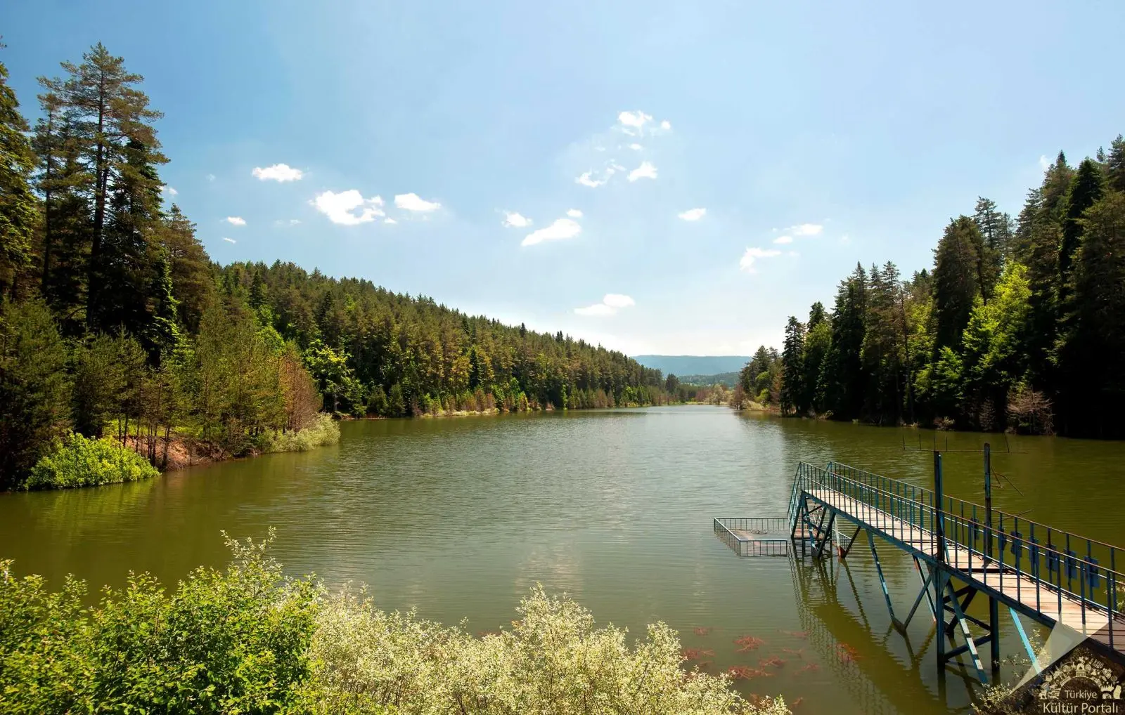 Ülke genelinde artan orman yangınları nedeniyle alınan tedbirler kapsamında, Bilecik’in