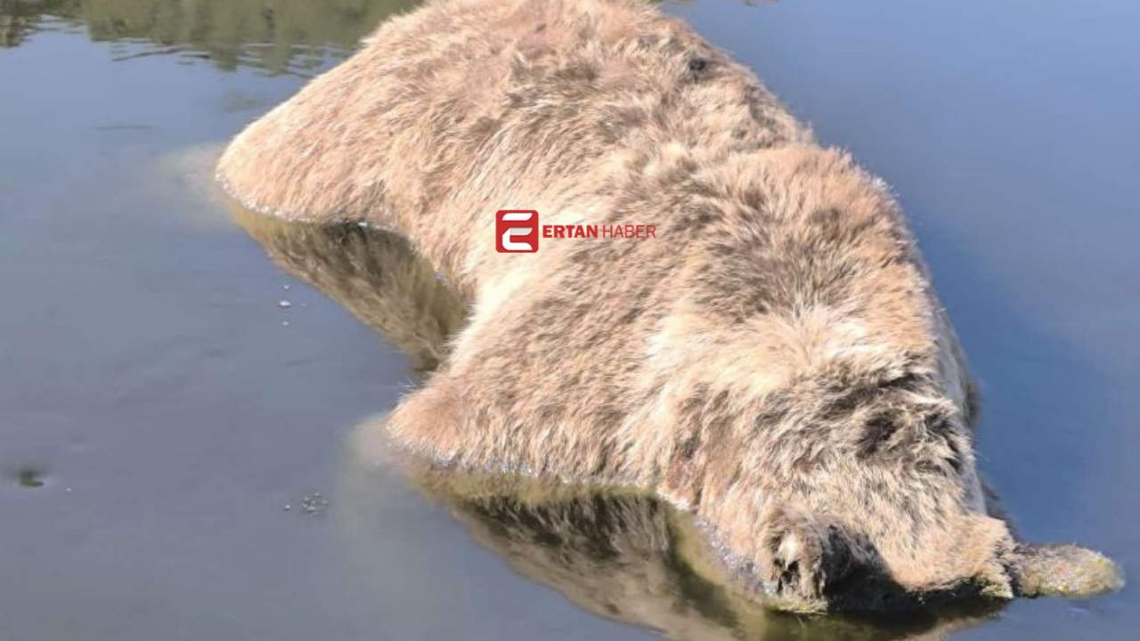 Eskişehir’in Mihalıççık ilçesine bağlı Sakarıkaracaören köyünde baraj gölünde şişmiş halde