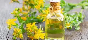 Son dönemde sosyal medyada ve bitkisel forumlarda sıkça konuşulan bir