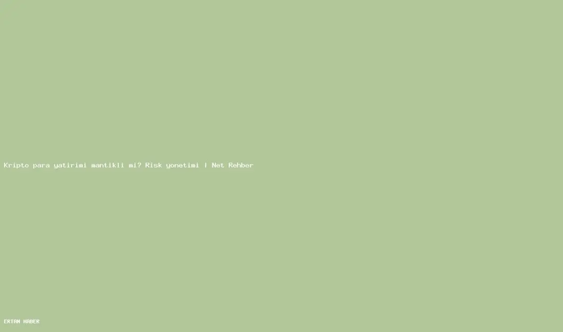 Konu: Kripto para yatırımı mantıklı mı? Risk yönetimi | Net