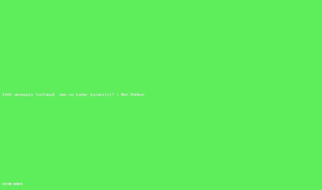 Konu: 1000 aboneyle YouTube’dan ne kadar kazanılır? | Net Rehber.