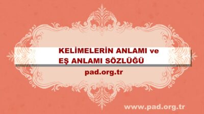 Farklı Eş Anlamlısı başlıklı blog yazısı, farklı eş kelimesinin anlamını