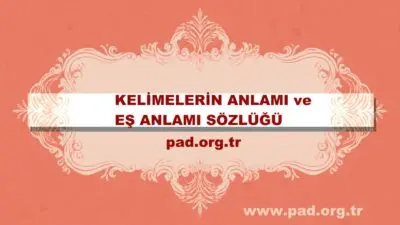 Farklı Eş Anlamlısı başlıklı blog yazısı, farklı eş kelimesinin anlamını