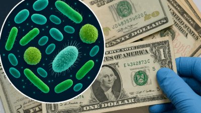 Paralar günlük hayatın vazgeçilmez bir parçası olsa da, üzerlerinde gözle