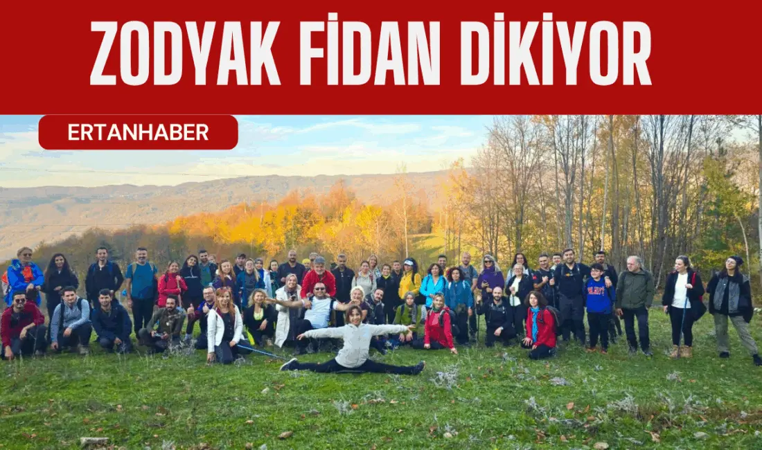 Son yıllarda peş peşe yaşanan orman yangınları, Türkiye’nin dört bir