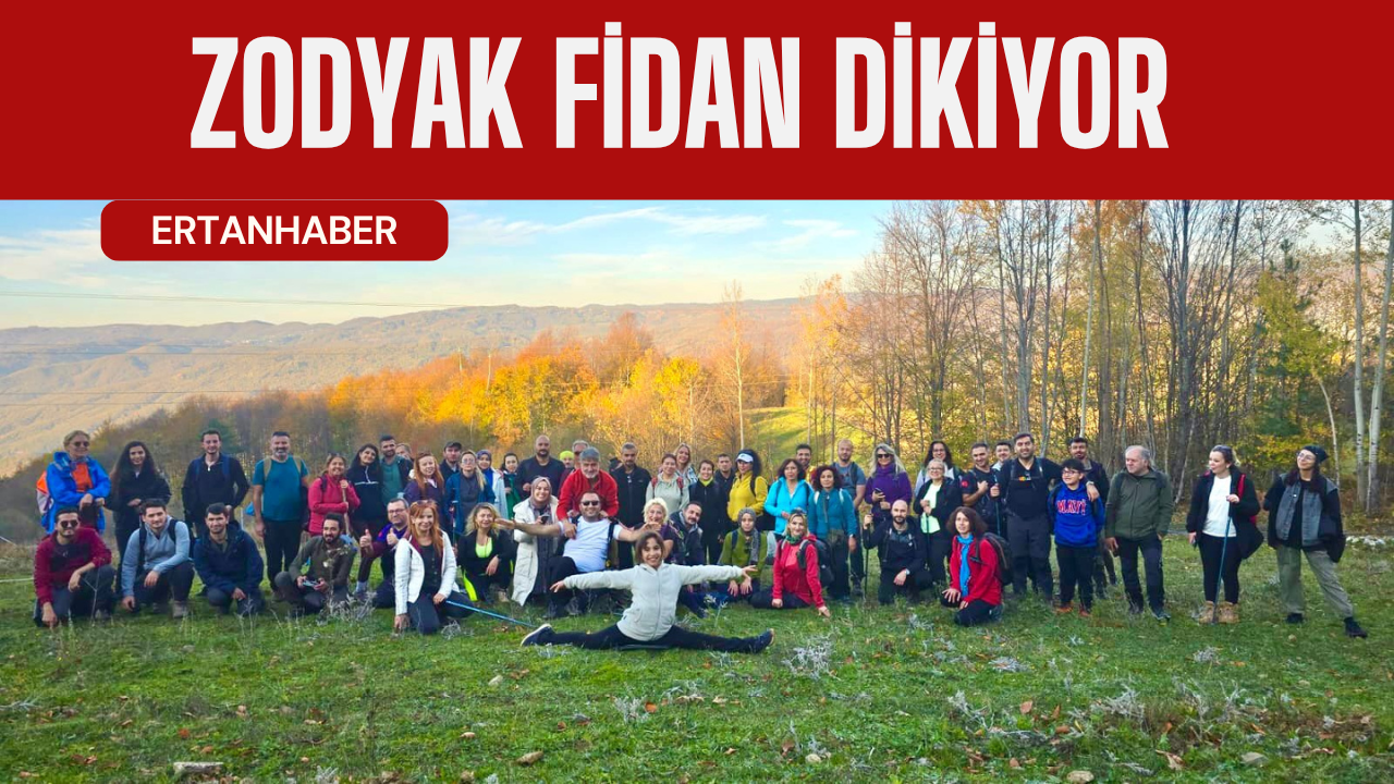 Son yıllarda peş peşe yaşanan orman yangınları, Türkiye’nin dört bir