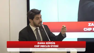 31 Mart 2001 tarihinde Diyarbakır’da doğan Zana Gümüş, Türkiye’nin uluslararası