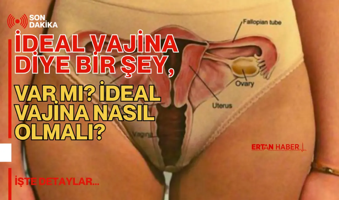 “İdeal vajina” araması yapanların çoğu aynı soruya takılıyor: “Ben normal