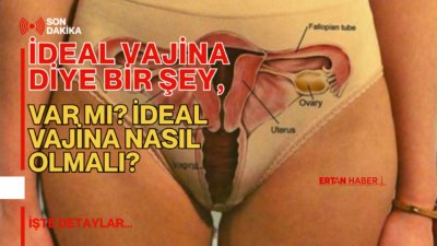 “İdeal vajina” araması yapanların çoğu aynı soruya takılıyor: “Ben normal
