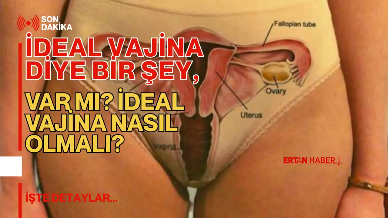 “İdeal vajina” araması yapanların çoğu aynı soruya takılıyor: “Ben normal