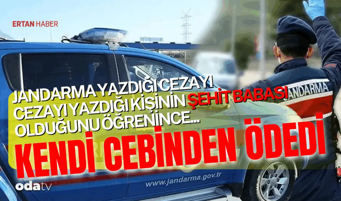 Bir ceza makbuzu… Birkaç dakikalık bir denetim… Peki ya o