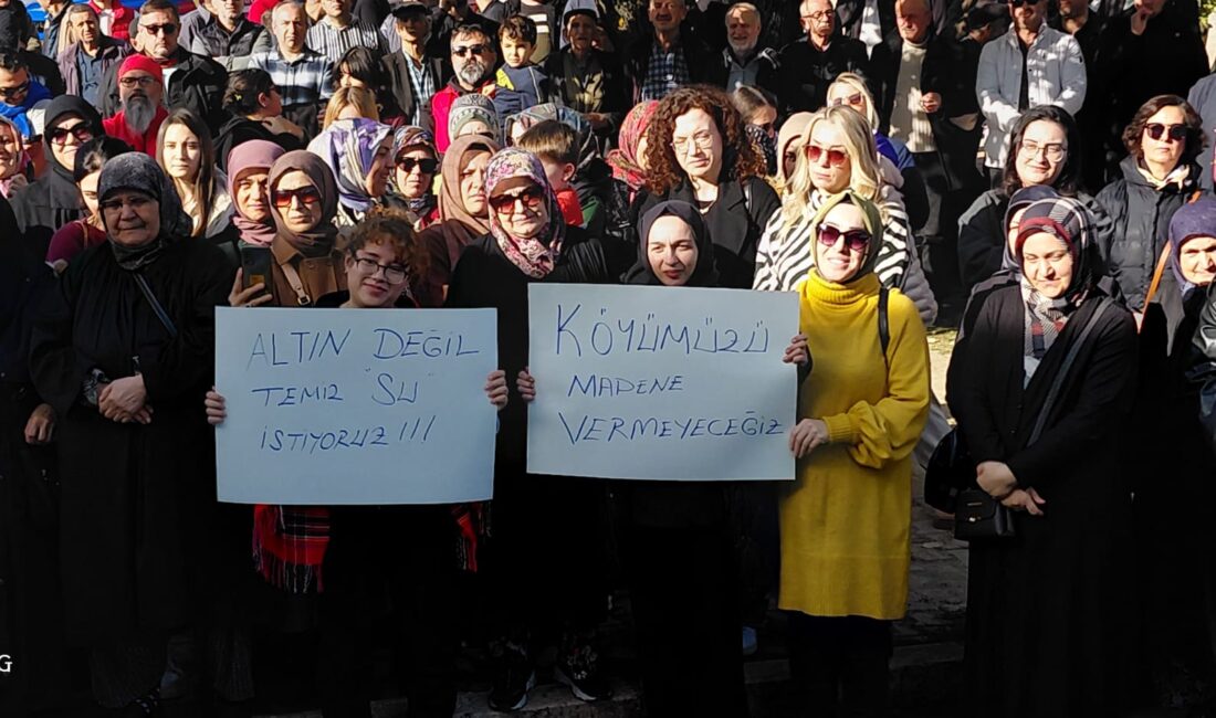 Bozcaarmutlu kadınlar, altın madeni projesine karşı dilekçelerini valilik ve İl