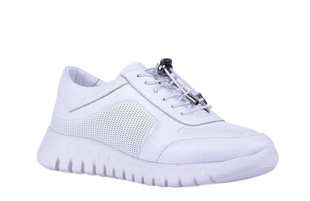 &nbsp; 🎵 🎶 🎵 🎶 🎵 🎶 🎵 🎶 🎵