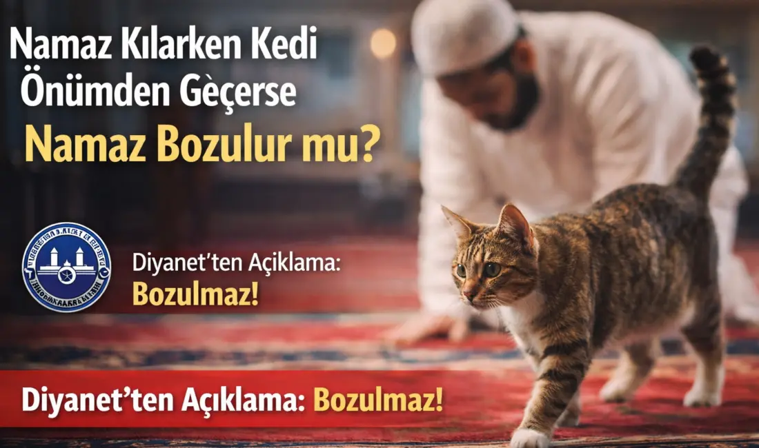 Namaz sırasında kedinin önünüzden geçmesi namazı bozmaz. İbadet geçerlidir.