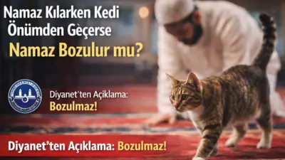 Namaz sırasında kedinin önünüzden geçmesi namazı bozmaz. İbadet geçerlidir.