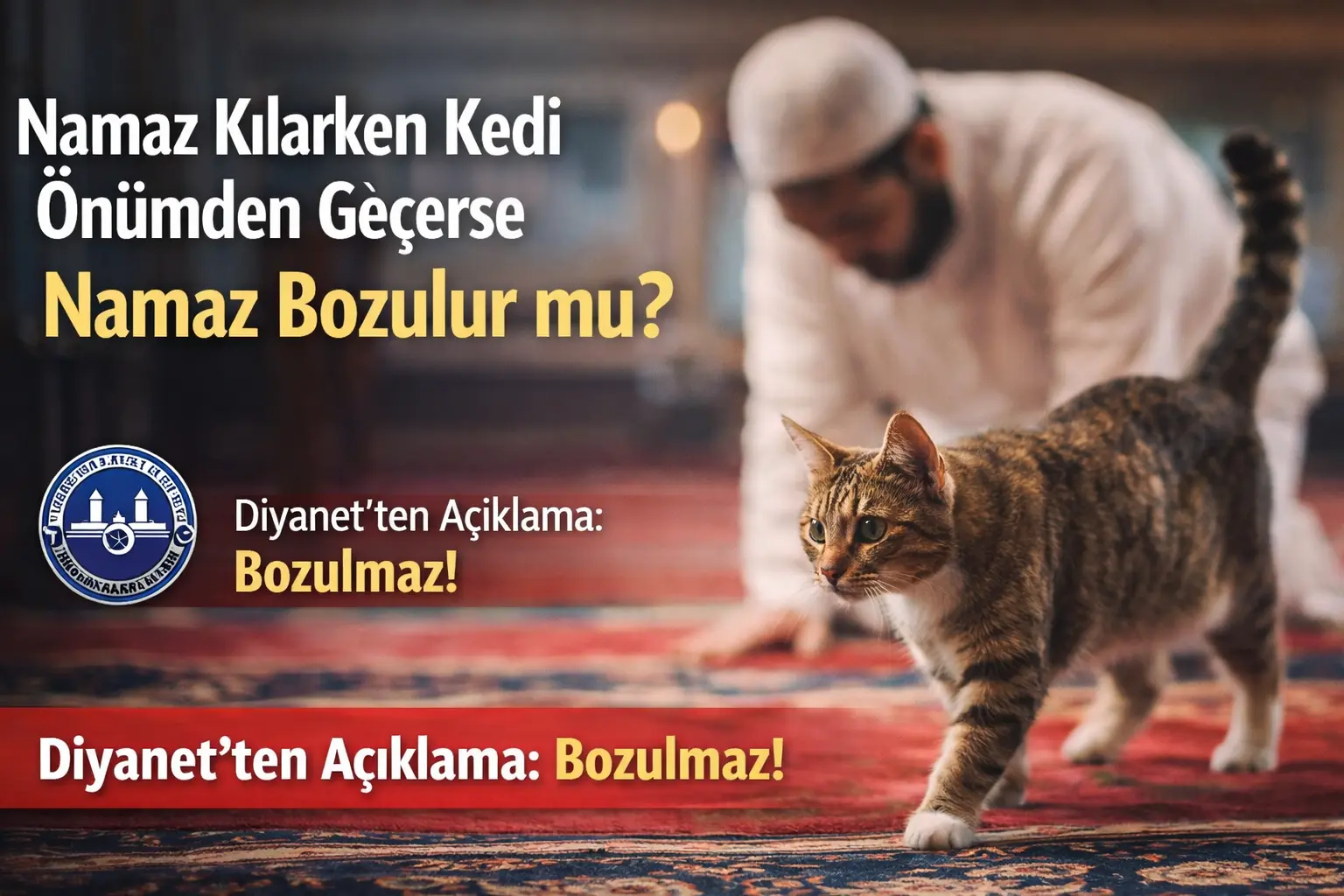 Namaz sırasında kedinin önünüzden geçmesi namazı bozmaz. İbadet geçerlidir.