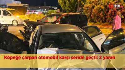 Aydın’ın Söke ilçesinde yola çıkan köpeğe çarpan otomobilin kontrolden çıkıp