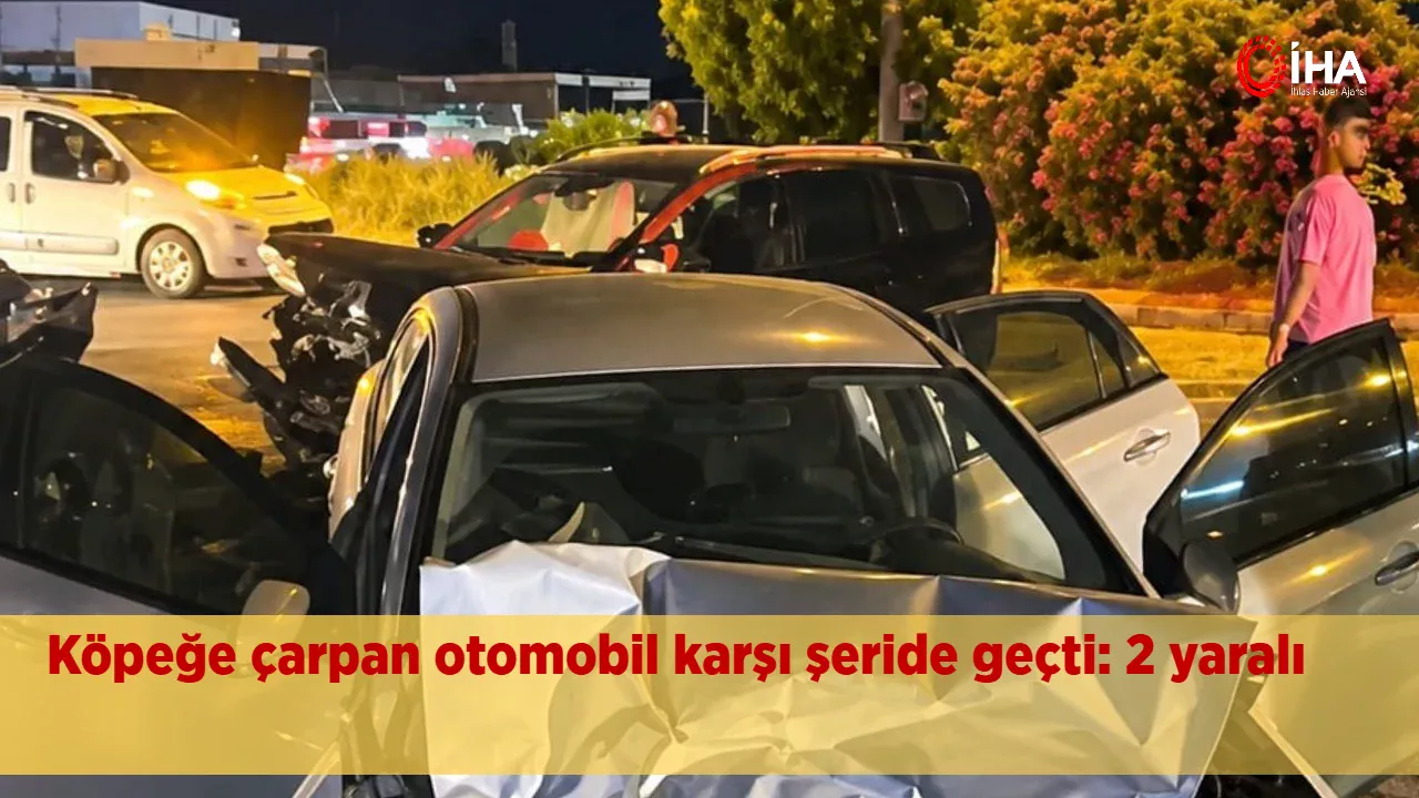 Aydın’ın Söke ilçesinde yola çıkan köpeğe çarpan otomobilin kontrolden çıkıp