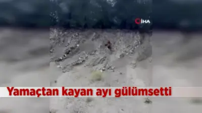 Bilecik’te ormana girmeye çalışan ayının yamaca tırmanma çabası izleyenleri gülümsetti.