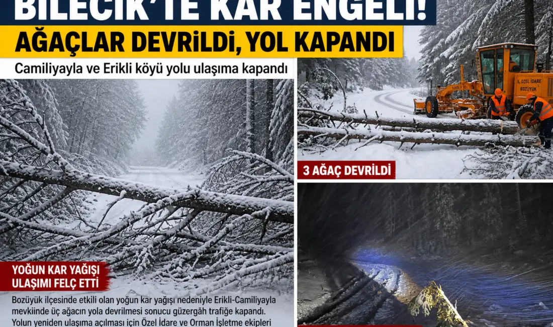 Bilecik’te yoğun kar yağışı nedeniyle Erikli-Camiliyayla yolu ağaç devrilmesiyle ulaşıma