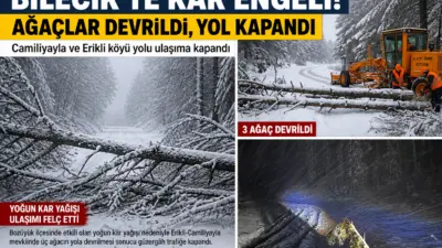 Bilecik’te yoğun kar yağışı nedeniyle Erikli-Camiliyayla yolu ağaç devrilmesiyle ulaşıma
