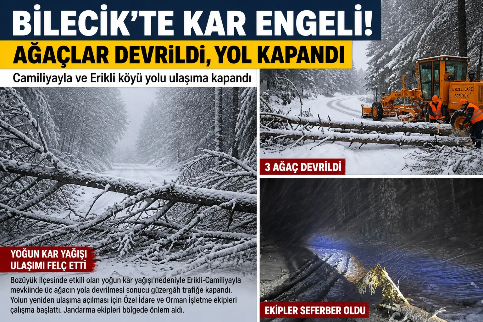 Bilecik’te yoğun kar yağışı nedeniyle Erikli-Camiliyayla yolu ağaç devrilmesiyle ulaşıma