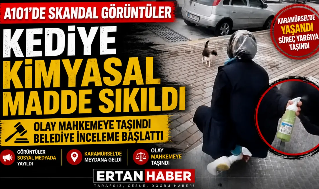Karamürsel’de kedinin yüzüne kimyasal sıkan market çalışanı gözaltına alındı, olay