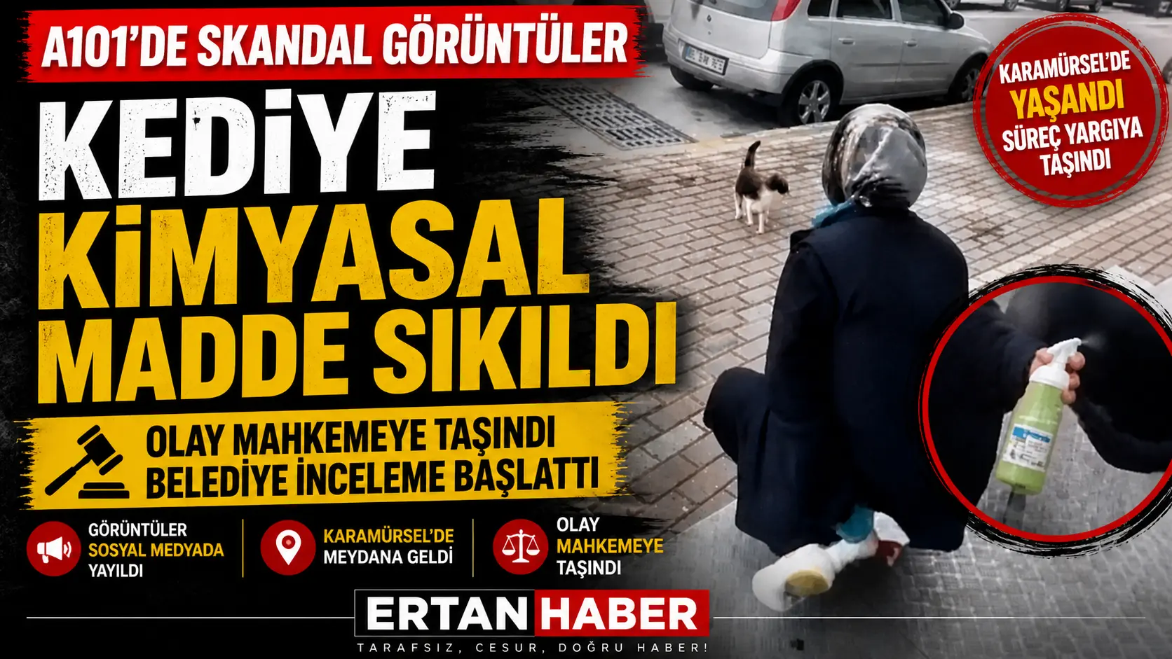 Karamürsel’de kedinin yüzüne kimyasal sıkan market çalışanı gözaltına alındı, olay