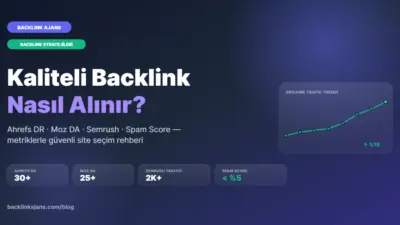 Bir site sahibinin karşısına çıkan ilk soru genellikle şu olur: