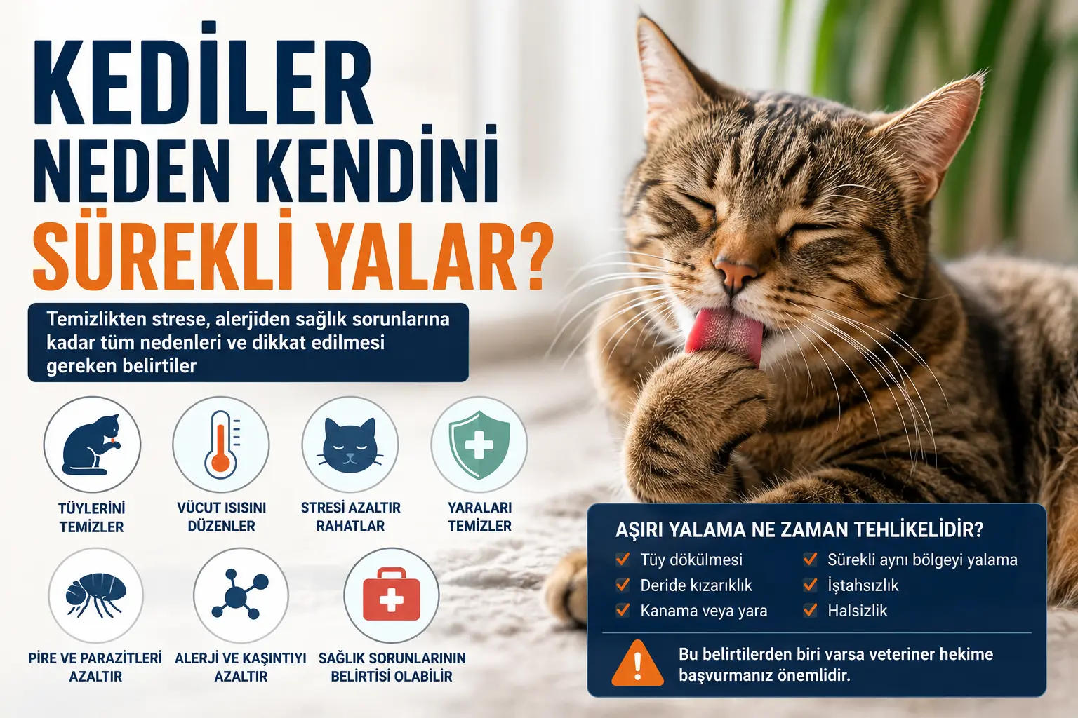 Kedilerin günün büyük bölümünü kendilerini yalayarak geçirmesi birçok kedi sahibini