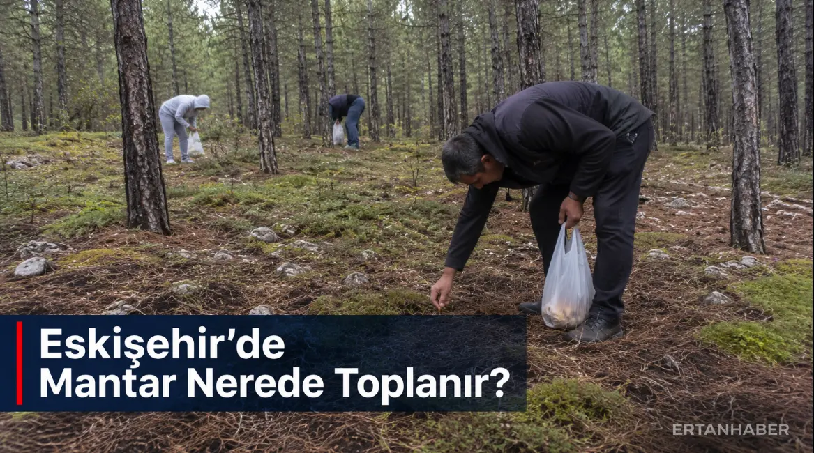 Eskişehir’de sonbahar yağışlarının başlamasıyla birlikte doğada mantar arayanların sayısı artıyor.